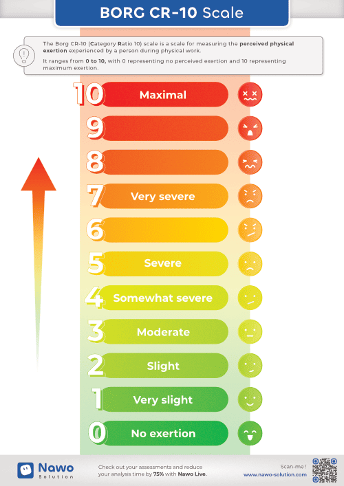 Document BORG Scale